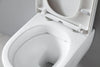 Kompletny zestaw WC 22: Miska WC wisząca NT2039