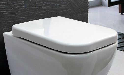 Wolnoopadająca deska sedesowa Duroplast